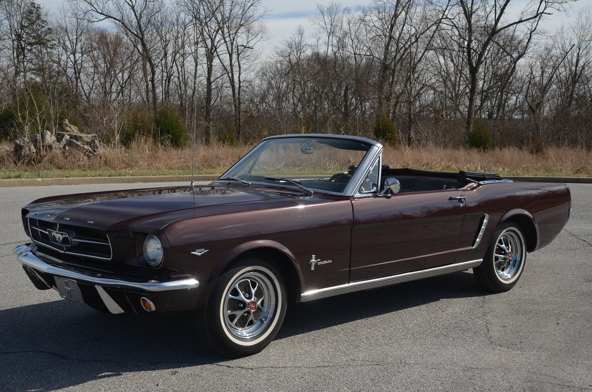 <img src="1965-ford-mustang.jpeg" alt="A stunning 1965 Ford Mustang convertible">