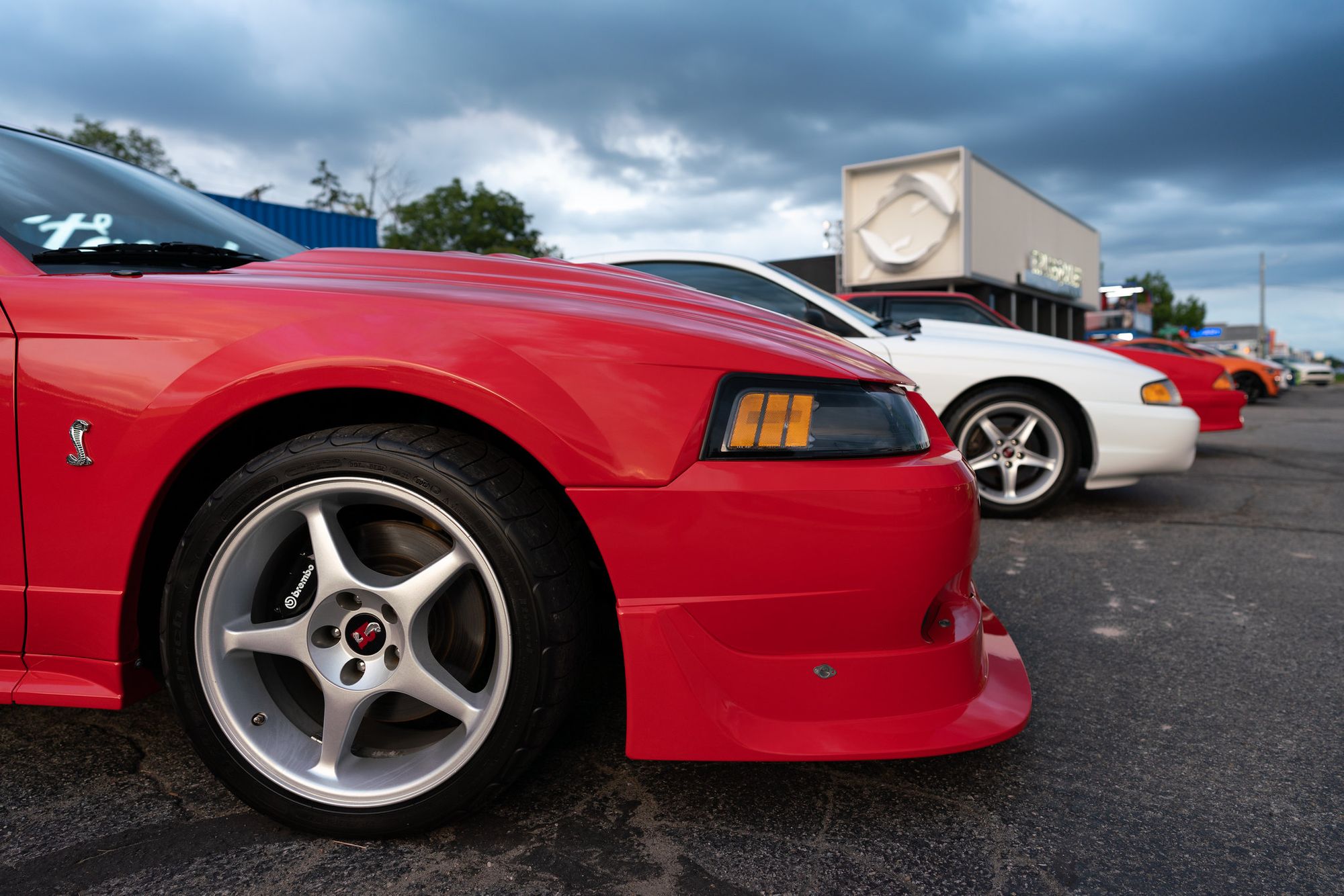 <img src="mustangs-woodward.jpg" alt="Mustangs at Woodward Dream Cruise">