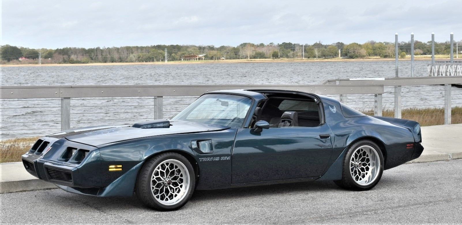 <img src="1979-pontiac-trans-am-pro-touring.jpeg" alt="A Pro-Touring 1979 Pontiac Trans Am"