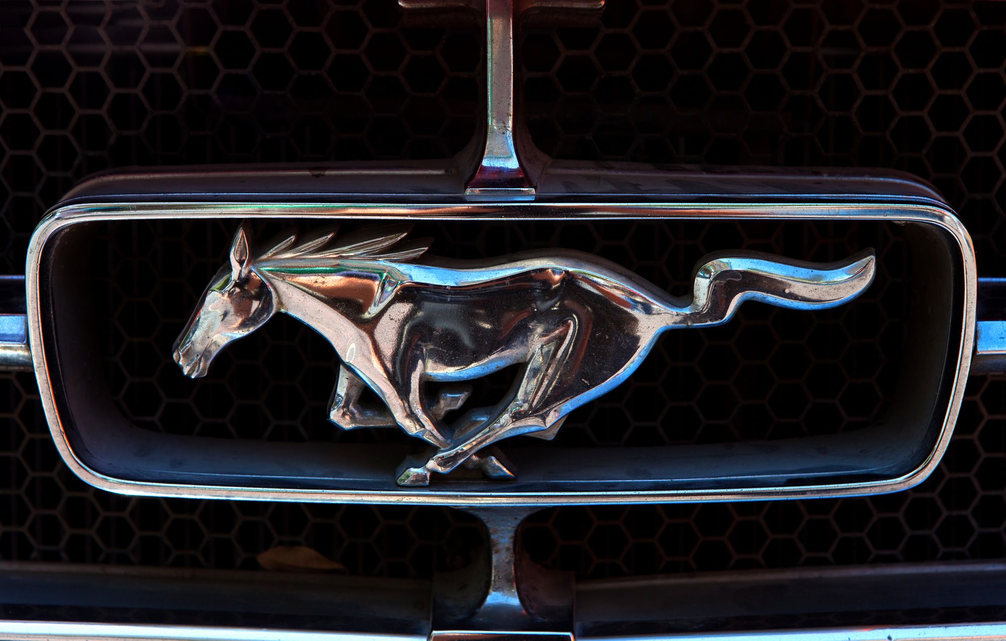 Motorious Explores The Ford Mustang
