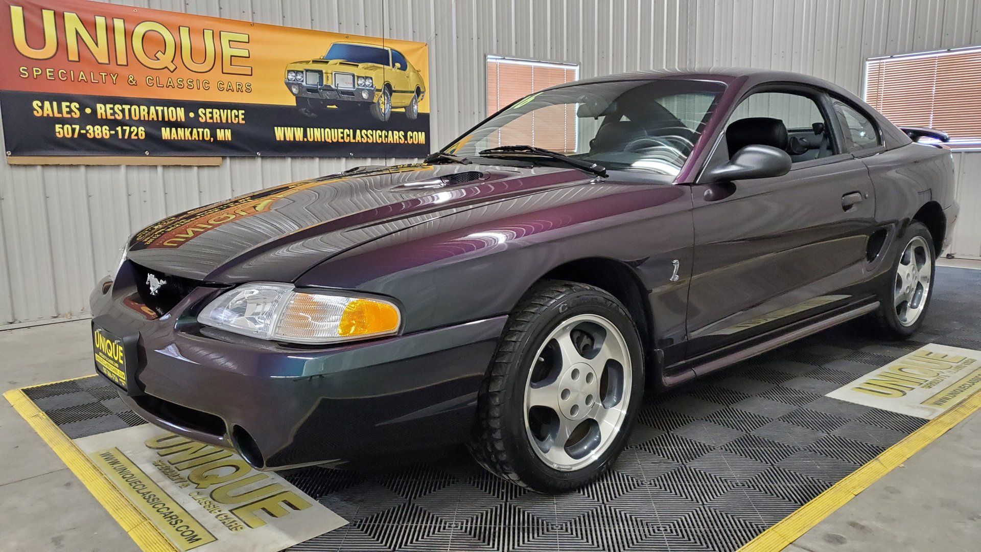 Horse of a Different Color 1996 Ford Mustang SVT Mystic Cobra