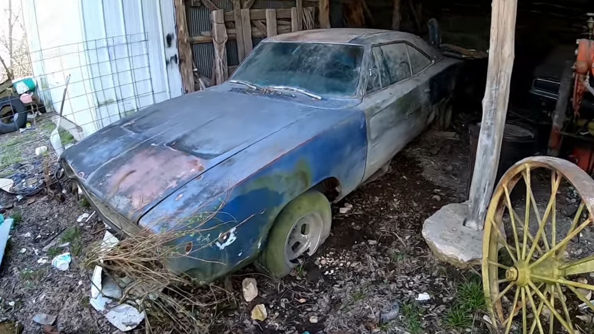 Hidden Mopar Junkyard Is a Goldmine of Rescued Barn Finds, Muscle