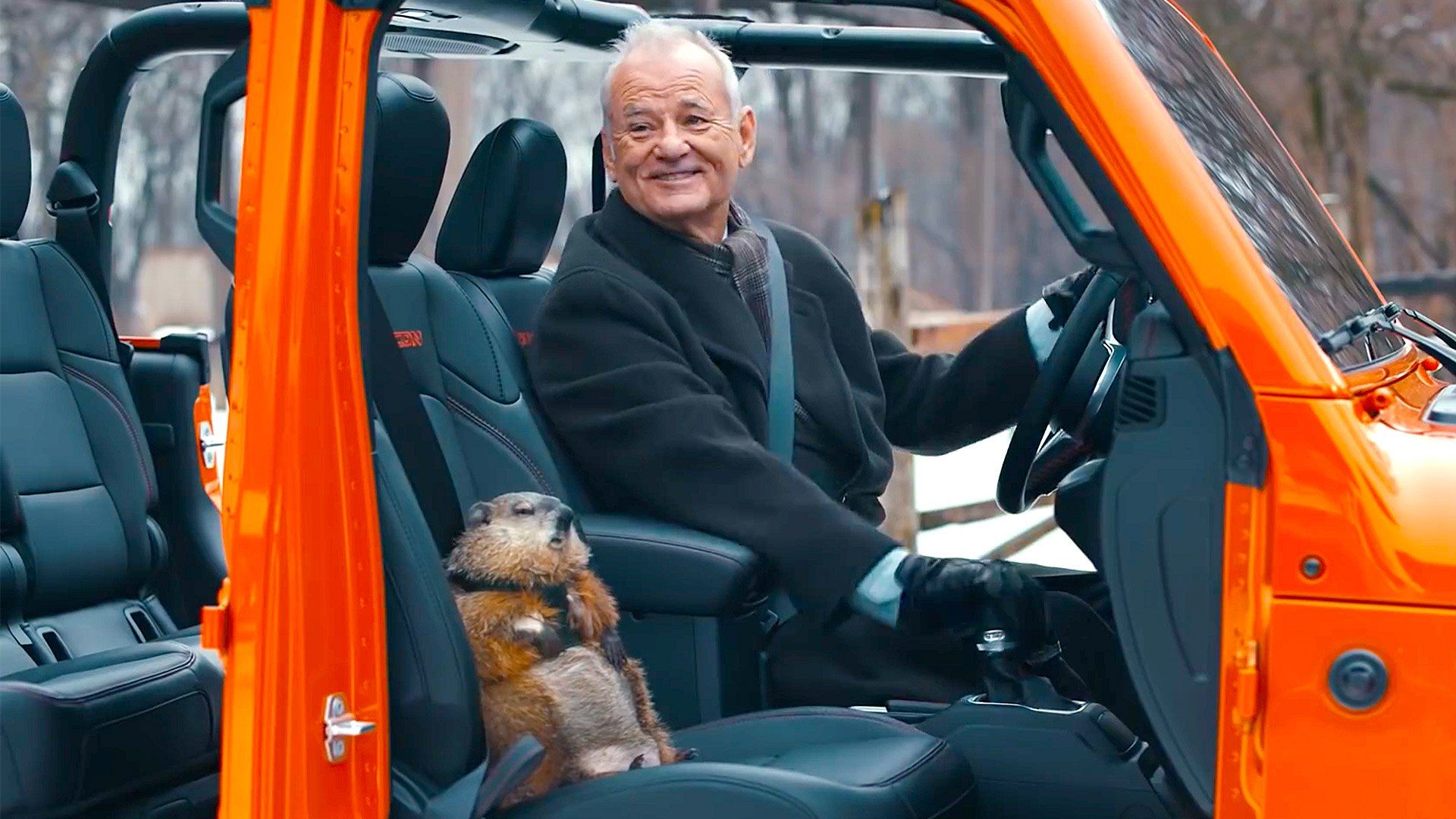 Celebrate Groundhog Day With Bill Murray