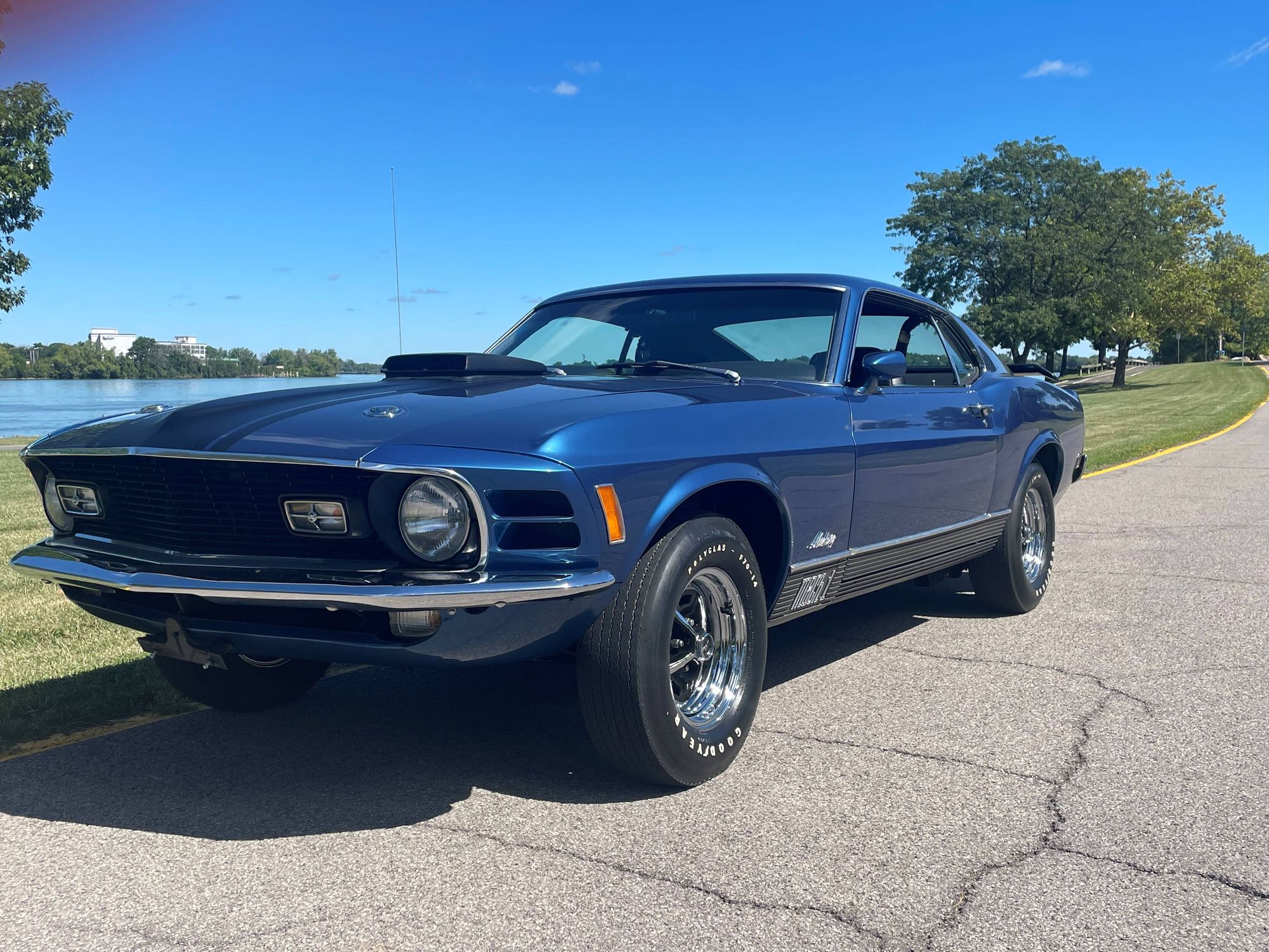 Carlisle Auctions Has A Herd Of Mustangs