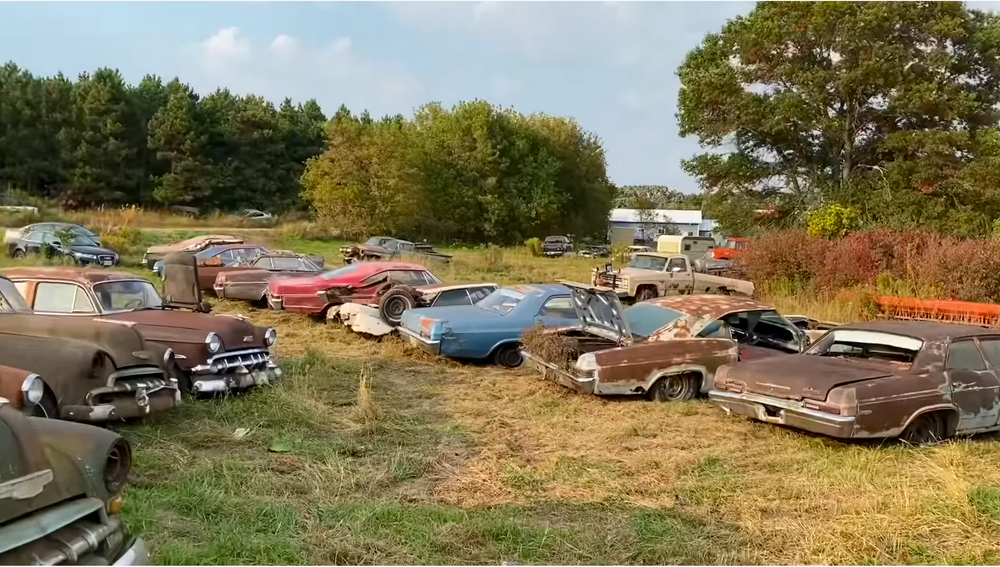 Junkyard Has More Rotting Chevys Than Jason Collier Has Valentine's Day