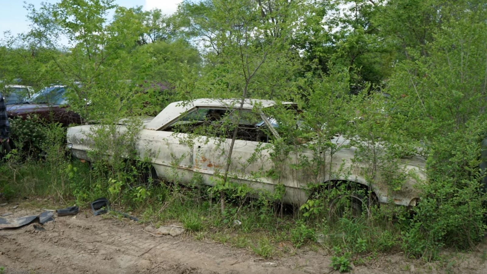 These Classic Cars Are Going To Be Crushed