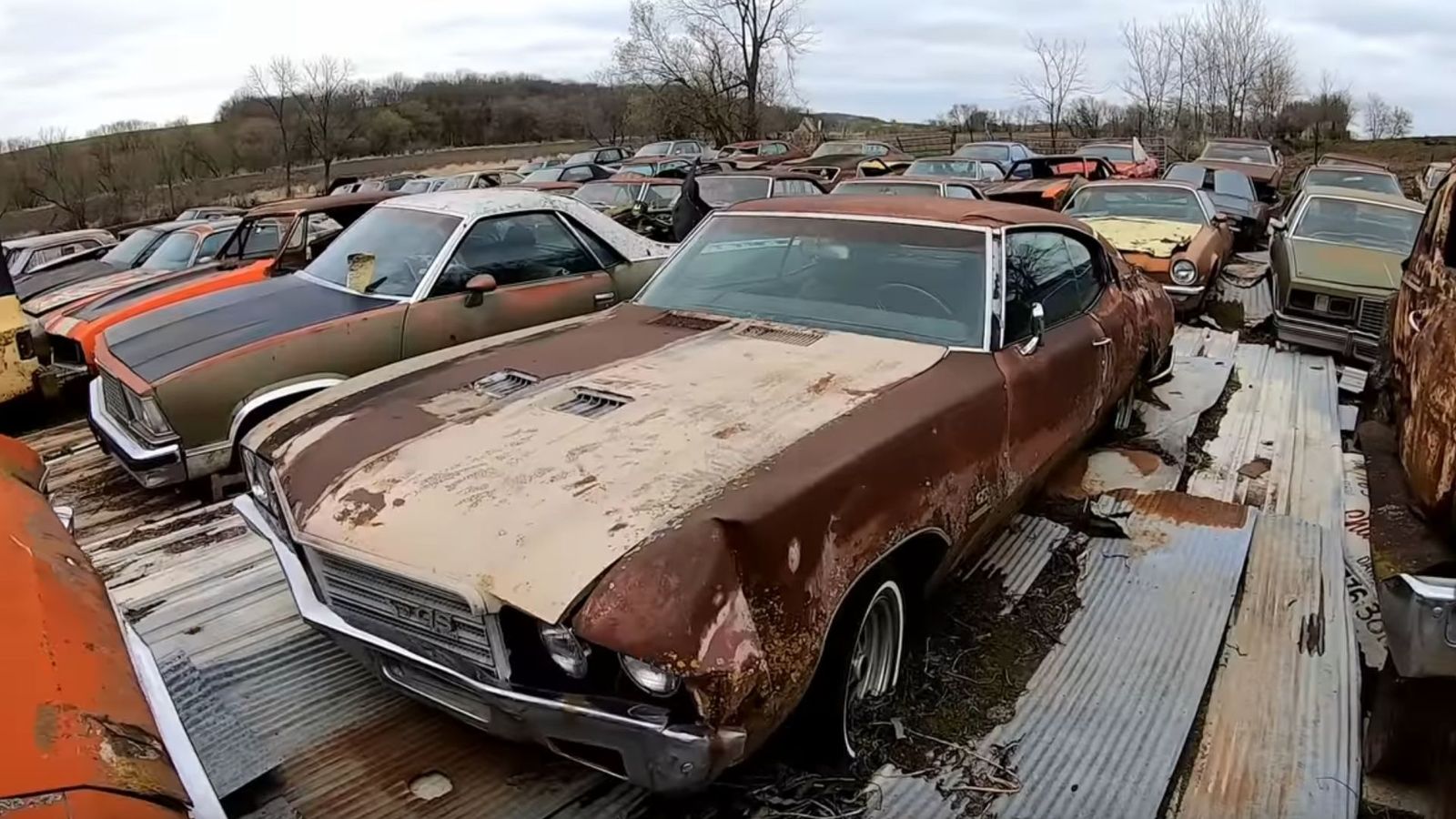 Check Out This Yard Full Of Classic GM Muscle Cars