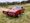 It’s A Pontiac GTO Bonanza At The GAA Classic Car Auction