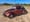 Restored 1968 Volkswagen Beetle Channels Classic California Surf Vibe