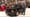 Jay Leno Leads Global Searches for Celebrity Car Collections, Beating Out Ronaldo, Gates, and Musk