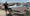 David Freiburger Unearths Hidden Junkyard Packed With Muscle Cars and Classics