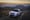 Jeep Recalls Grand Cherokee 4xe Over Hybrid Software Flaw