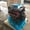 Brand-New Mopar 'HELLCrate' V8s Hit eBay, Bringing 707 Horsepower Home