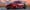 Shelby American Unleashes 2026 Super Snake R: A 830-HP Track-Ready Evolution of the Mustang