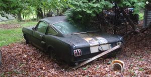 1966 Shelby GT350H Abandoned In Yard Finally Rescued