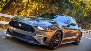 Happy Birthday, Ford Mustang!