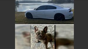 Update: Dodge Charger And Bulldog Stolen In Atlanta Both Found!