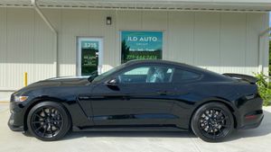 Which Would You Rather Own: Pony Edition