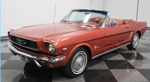 The Coolest Mustangs on Motorious