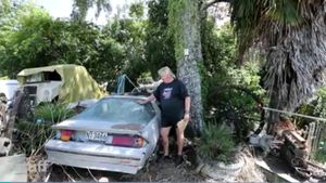 Vandals Bash Man’s Classic Car Collection