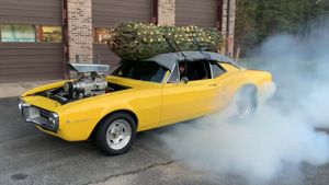 This Is How You Haul A Christmas Tree