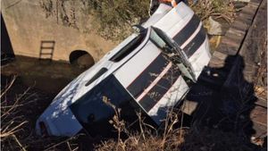 Mustang Fleeing Police Crashes Into Ditch