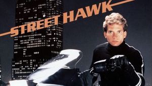 Motorcycle Monday: Street Hawk Motorcycle