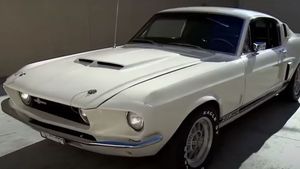 1967 GT350 Stallion On Pawn Stars Sells For Six Figures
