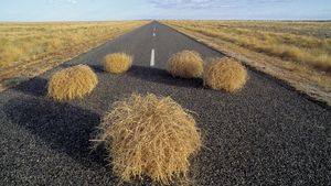 Chip Shortages, Surging Prices, And The Used Car Market