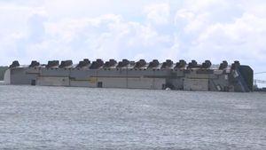 Golden Ray Shipwreck Destroyed Over 4,000 Cars