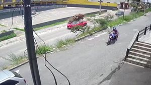 Drunk Driver Peels The Roof Off A Camaro