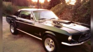 1967 Mustang Stolen From Seattle Shop