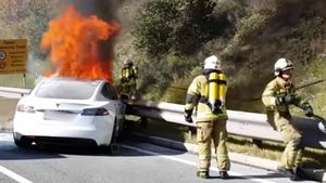 Electric Car Sparks Huge Wildfire In France