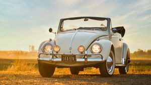 1969 Volkswagen Beetle Is A Bug That Packs A Punch