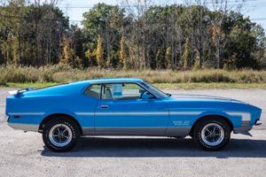 Carlisle Auctions Has A Herd Of Mustangs