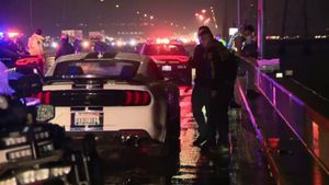 Shelby GT500 Thief Runs Out Of Gas, Dies