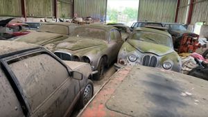 Huge Barn Find Stash Uncovered In Secret Location