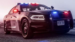 Ontario Will Drop Serious Cash Fighting Car Theft