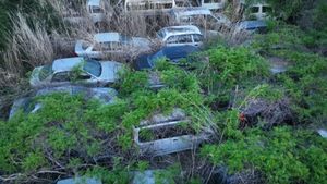 Fukushima Cars Are Still Rotting