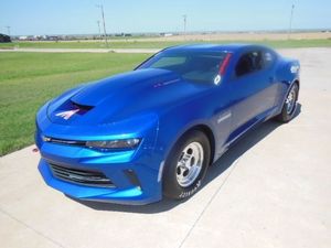 Maple Brothers Is Selling This Blue COPO Camaro