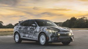 All Hail The Ford Mach-E Rally