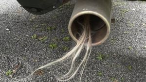 Man Freaks Out Over Hair Growing Out Of Exhaust Pipe