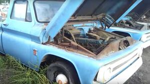 A Fleet Of Never Driven Vintage Chevy Trucks Found In Field