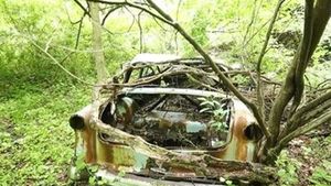 New York Hiking Trails Double As Classic Auto Graveyards