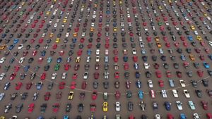Largest Mustang Gathering In The World Breaks Records