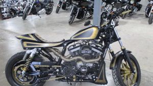 2016 Harley-Davidson Sportster SuperLow XL 883L Is Great For Beginners And Veterans