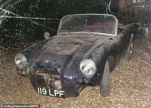 Berkeley B95 Roadster's Resurrection from Decades of Oblivion
