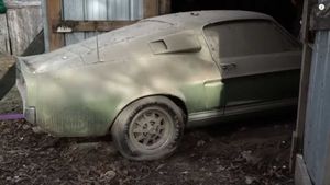 See A 1967 Shelby GT500 Barn Find Unfold