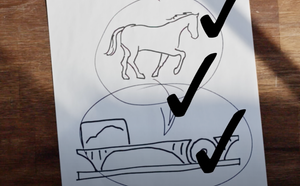 Horsepower Showdown: Donut Media Puts a Real Horse to the Test