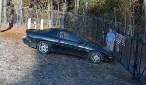 Camaro Driver Steals Mustang